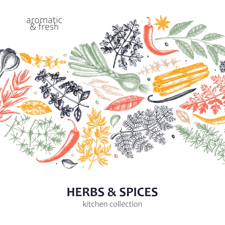 Hand-drawn herbs and spices wave design. Hand-sketched food card in color. Vintage aromatic plants hand-drawing. Kitchen herbs and spice banner template in sketched style for menu or packaging